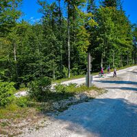 Spitzkehre links halten