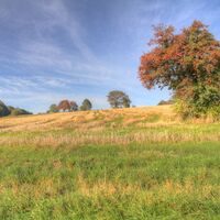 Wiesen und Felder prägen die Höhen des Albtals