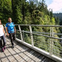 Hängebrücke über den Limarò-Canyon