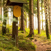 Goethewanderweg am Schwalbenstein