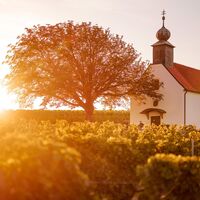 Bei der Donatuskapelle sollten Sie unbedingt Rast machen und den herrlichen Ausblick genießen.