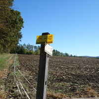 Aufstiegsweg Auberg 363m