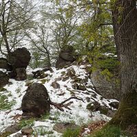 Aufstieg "Steinge Ries"