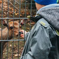 Tiergehege "Rabensleite" Zeulenroda-Triebes