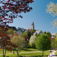 Lennepark in Schmallenberg