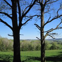 ausblick-von-stadtkyll