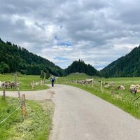 Sommeridylle im Gunzesrieder Tal