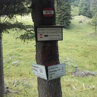 Kreuzung Bärnsboden