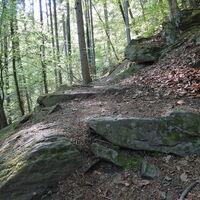 Hofarnsdorf - Oberkienstock - Seekopf - Schenkenbrunn - Gansbach