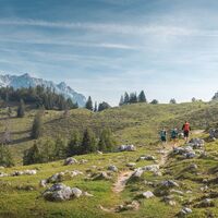 Scheffau_Steinbergalm_Wilder Kaiser