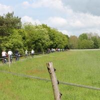 Pfälzer Moortour zw. Waldmohr und Schönenberg-Kübelberg