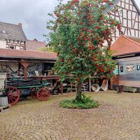 Heimatmuseum Waldgirmes