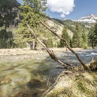 Riesachbach in der Nähe Kotalm
