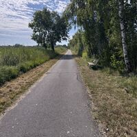 Bike Buddies Burgenland