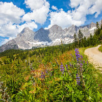 Dachstein