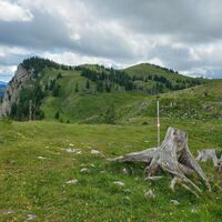 Spielkogel