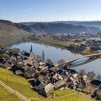 Wandern auf dem Moselsteig bei Piesport