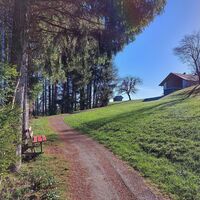 Weg Moos Richtung Nannen