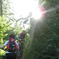 Trail am Voithenberg