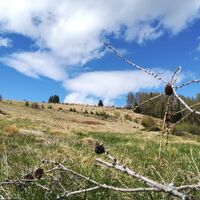 tour 20a - mtb - fohnsdorfer graben bis zur hammerl eckwiese_img_51425949