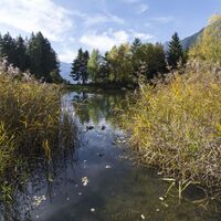 starkenberger_apnoramaweg_etappe_7 (1).jpg