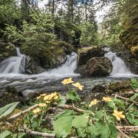 Der Giglachbach beim Aufstieg zur Lackneralm