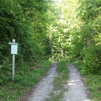 Abzweigung zur 3. Station- Rosenkranzweg von Puch nach St. Jakob am Thurn