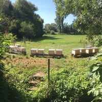 Honigmanufaktur Hoffmann