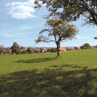 Sonnige Schönbronner Höhe