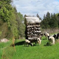 Gambachstöck - Wanderung Guggisberg - Rüschegg