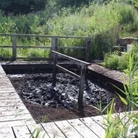 Moortretbecken.jpg