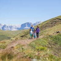 Buffaure ©Archivio APT Val di Fassa