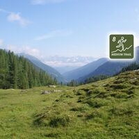 laubschachen trail_img_66271892