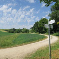 Haukuppenweg 05