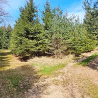 8.3 km Rechts hinauf beim Schinderberg ...