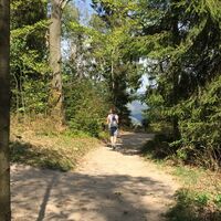 Naturerlebnispfad Hohe Bracht