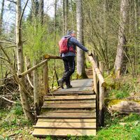 Wanderer auf Brücke (2)