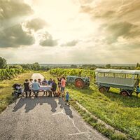 Rebanlagen Langenbrücken