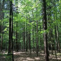 Papst-Franziskus Pilgerweg, Oststeiermark