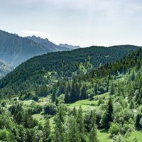 Saint-Dalmas-le-Selvage