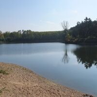 Teich