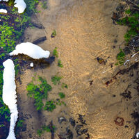 Winterliches Furlbachtal in Schloß Holte-Stukenbrock