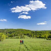 Wandern auf der Westerwaldvariante