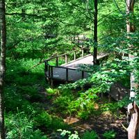 Emsquelle in Schloß Holte-Stukenbrock