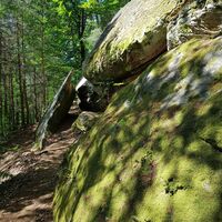 Geißenschlupf nahe Leimen/Pfalz