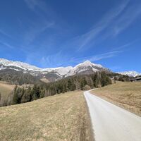 Scheffau_Ötting_Kaisern_Fahrweg_Kaiserblick_Winter_Frühling