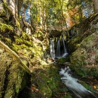 Menzenschwand