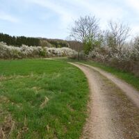 Wegeverlauf