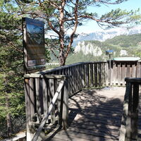 ÖS20,-- Blick