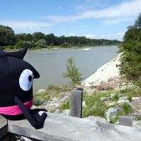 Edgar träumt sich weg: von der Salzach über Inn und Donau bis zum Schwarzen Meer.